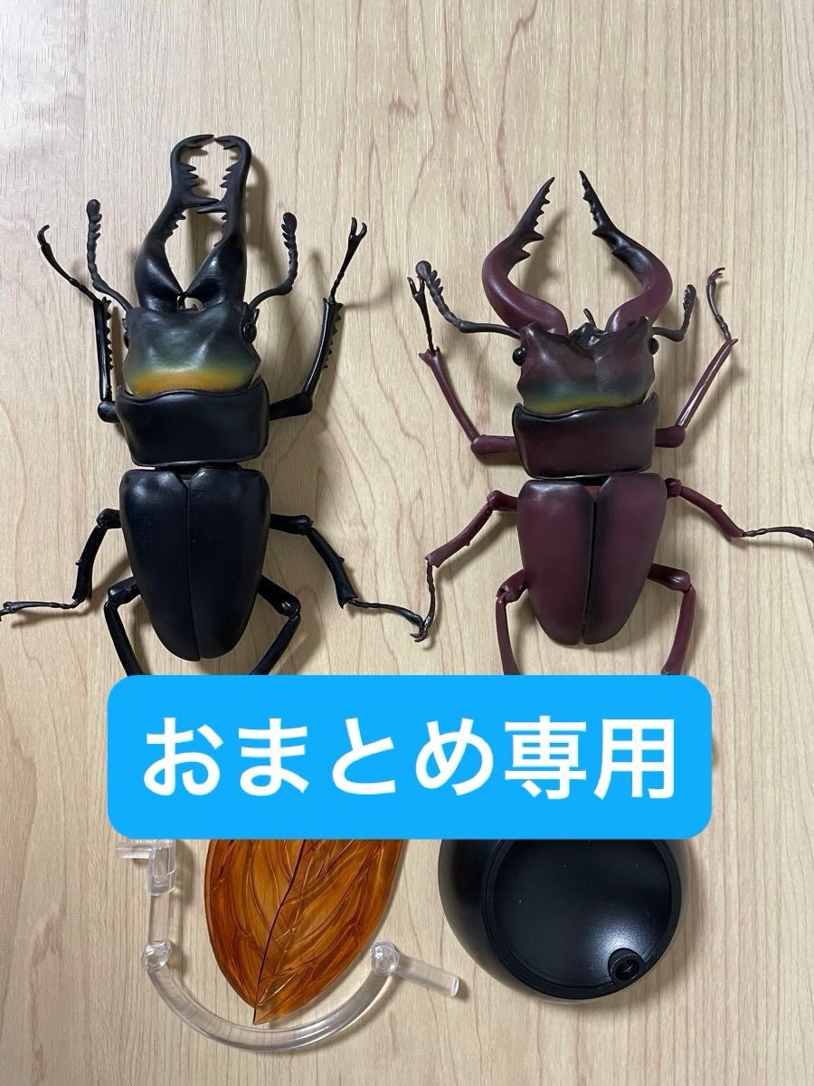 いきもの大図鑑 くわがた かぶとむし まとめ売り おまとめ買い専用 いきもの大図鑑くわがた01 かまきりかぶとむし