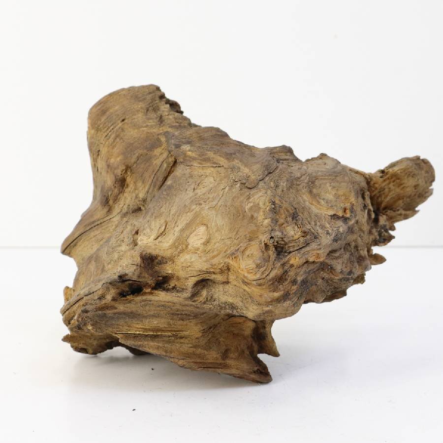 Yahoo!オークション - 希少 世界遺産 屋久杉 オブジェ 幅28cm Yahoo!オークション - 希少 世界遺産 屋久杉 オブジェ 幅28cm