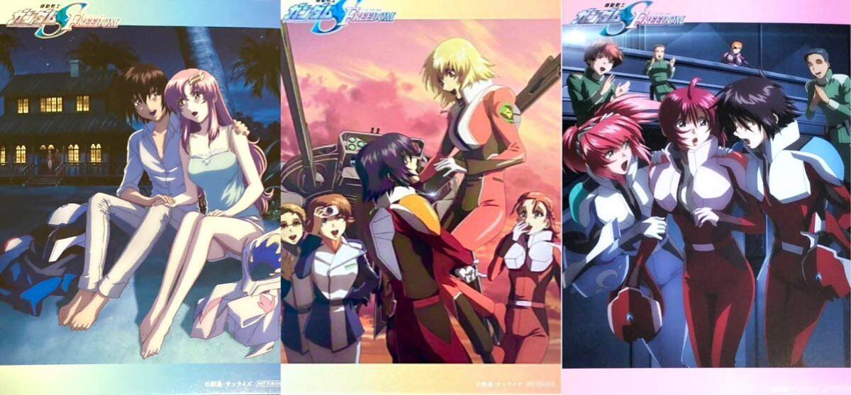 劇場版 機動戦士ガンダムSEED FREEDOM 入場者特典 17週目 劇場版 機動戦士ガンダムSEED FREEDOM 入場者特典 17週目