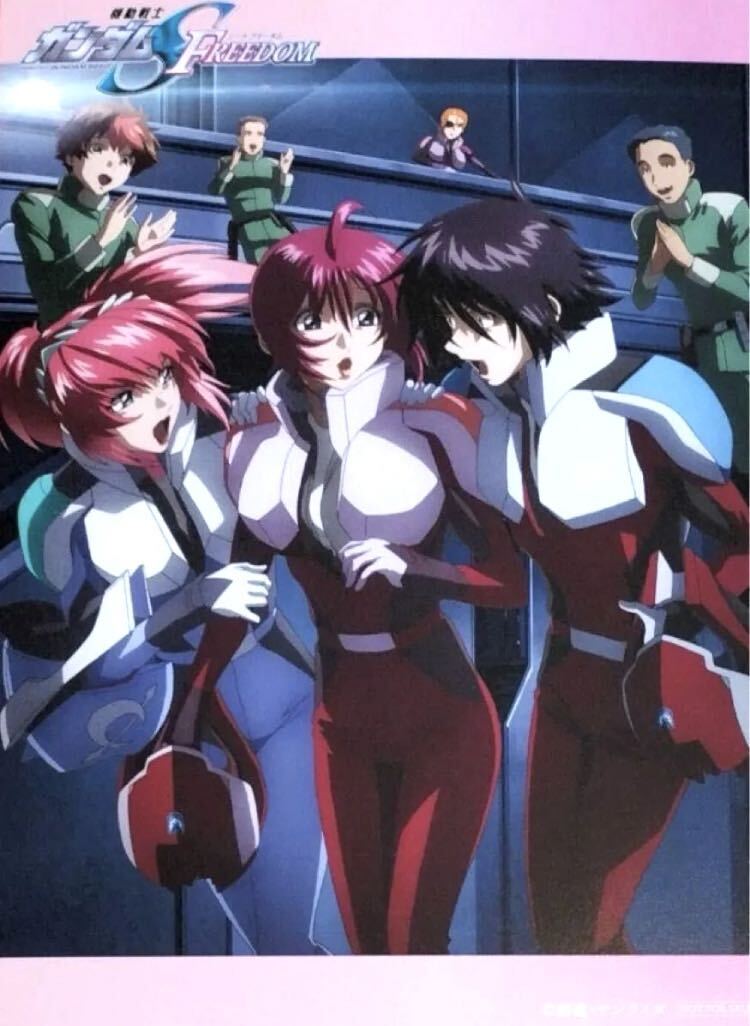 劇場版 機動戦士ガンダムSEED FREEDOM 入場者特典 17週目 劇場版 機動戦士ガンダムSEED FREEDOM 入場者特典 17週目