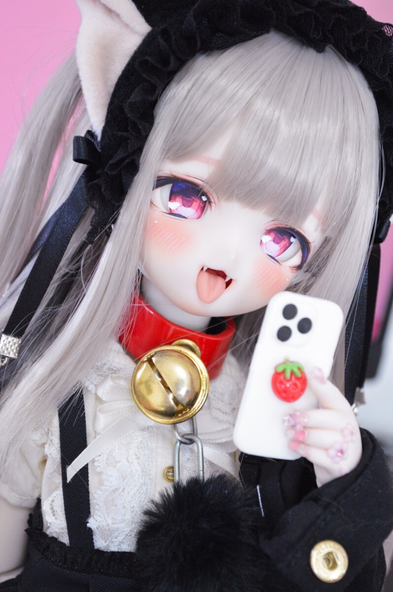 Yahoo!オークション - ひまわりのたね DDH10 セミホワイト肌 Yahoo!オークション - ひまわりのたね DDH10 セミホワイト肌