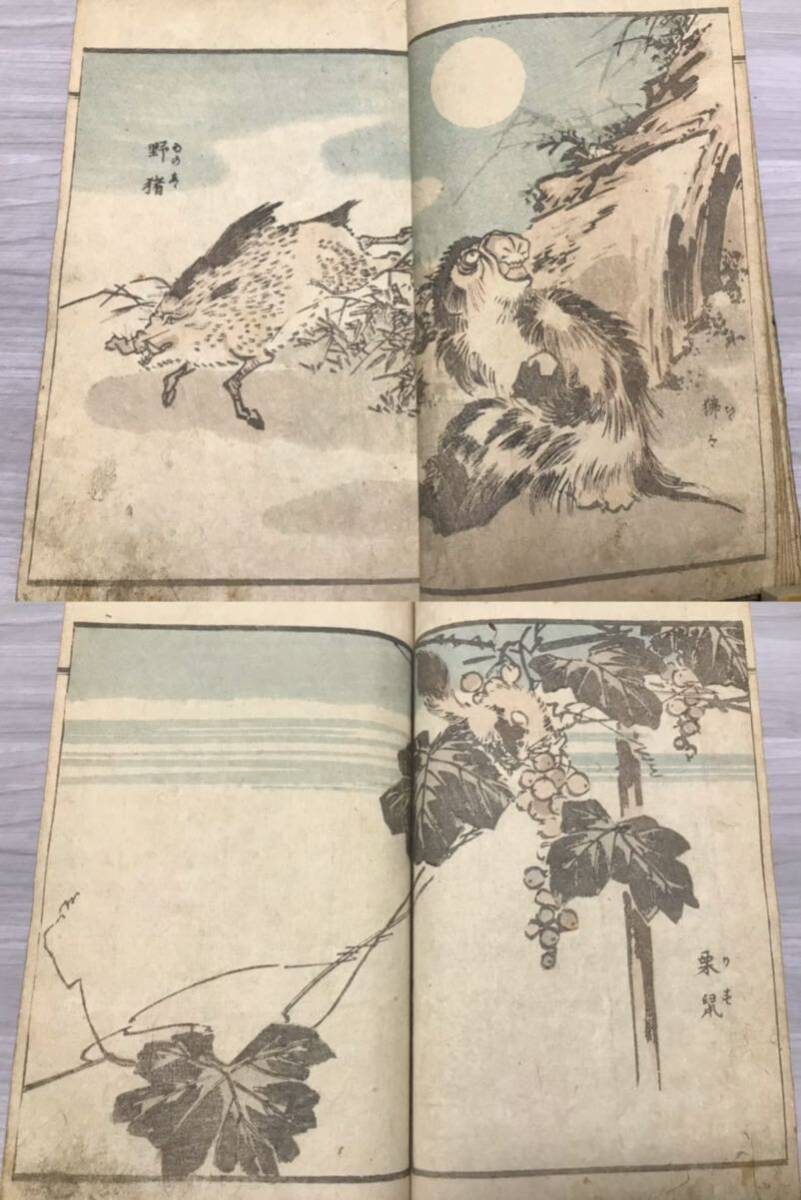 柳川画譜 獣之部 1冊揃 柳川重信画 江戸期 和泉屋市兵衛刊 彩色 柳川画譜 獣之部 1冊揃 柳川重信画 江戸期 和泉屋市兵衛刊 彩色