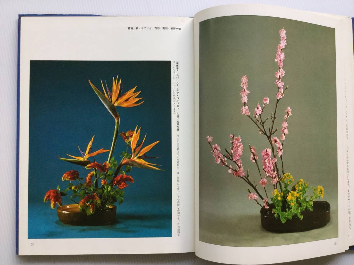 送料無料 ARTBOOK_OUTLET 84-109 勅使河原蒼風 盛花 草月 送料無料 ARTBOOK_OUTLET 84-109 勅使河原蒼風 盛花 草月