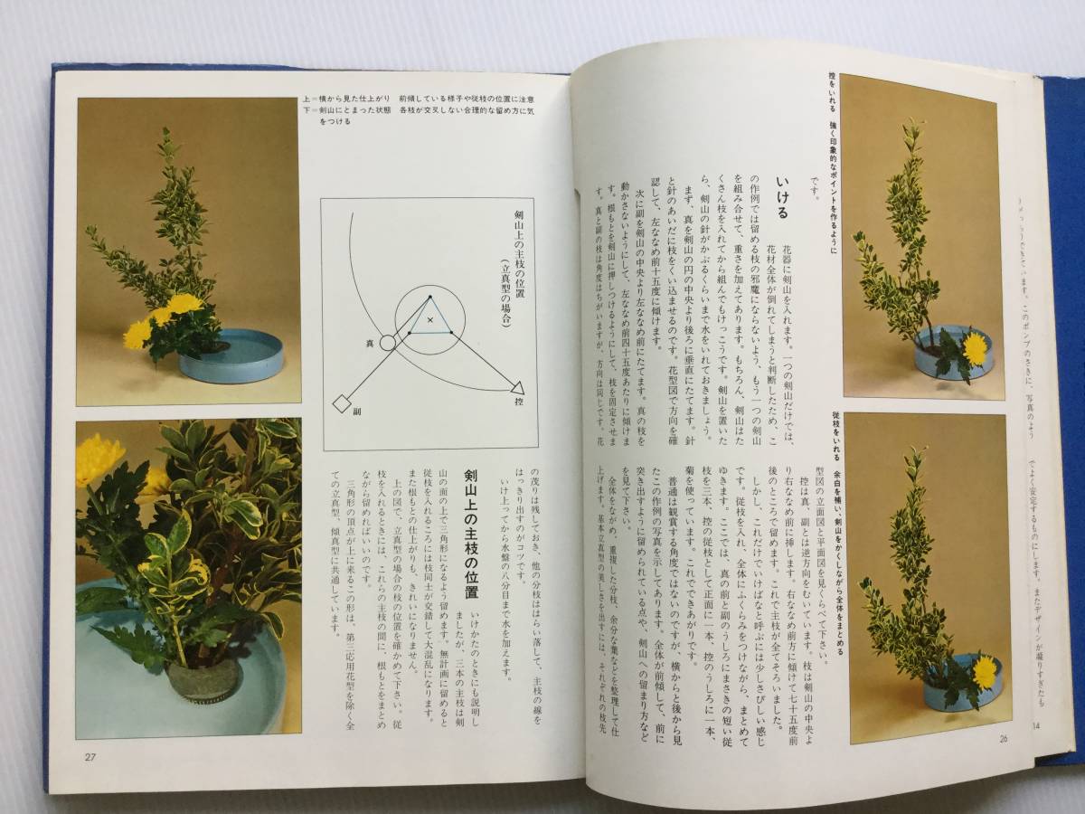 送料無料 ARTBOOK_OUTLET 84-109 勅使河原蒼風 盛花 草月 送料無料 ARTBOOK_OUTLET 84-109 勅使河原蒼風 盛花 草月