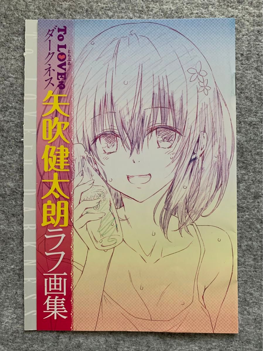ToLOVEるダークネス 矢吹健太郎ラフ画集 ジャンプSQ CROWN 2015 ToLOVEるダークネス 矢吹健太郎ラフ画集 ジャンプSQ CROWN 2015