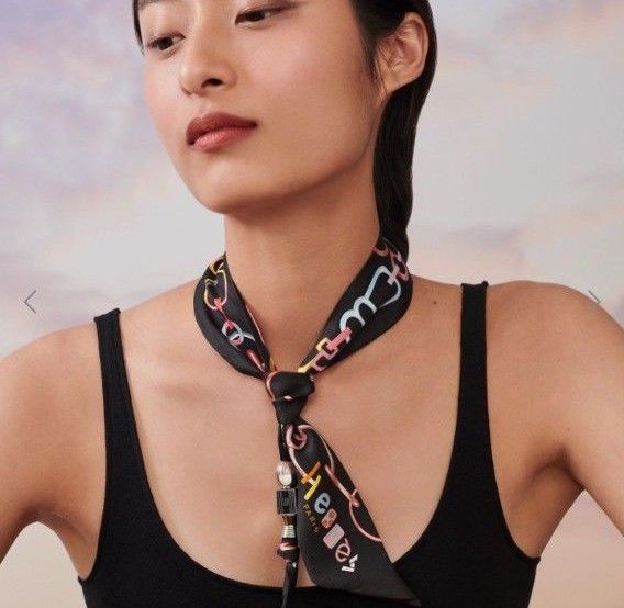 HERMES】未使用 トーテム ツイリーリング シルバーカラー HERMES】未使用 トーテム ツイリーリング シルバーカラー