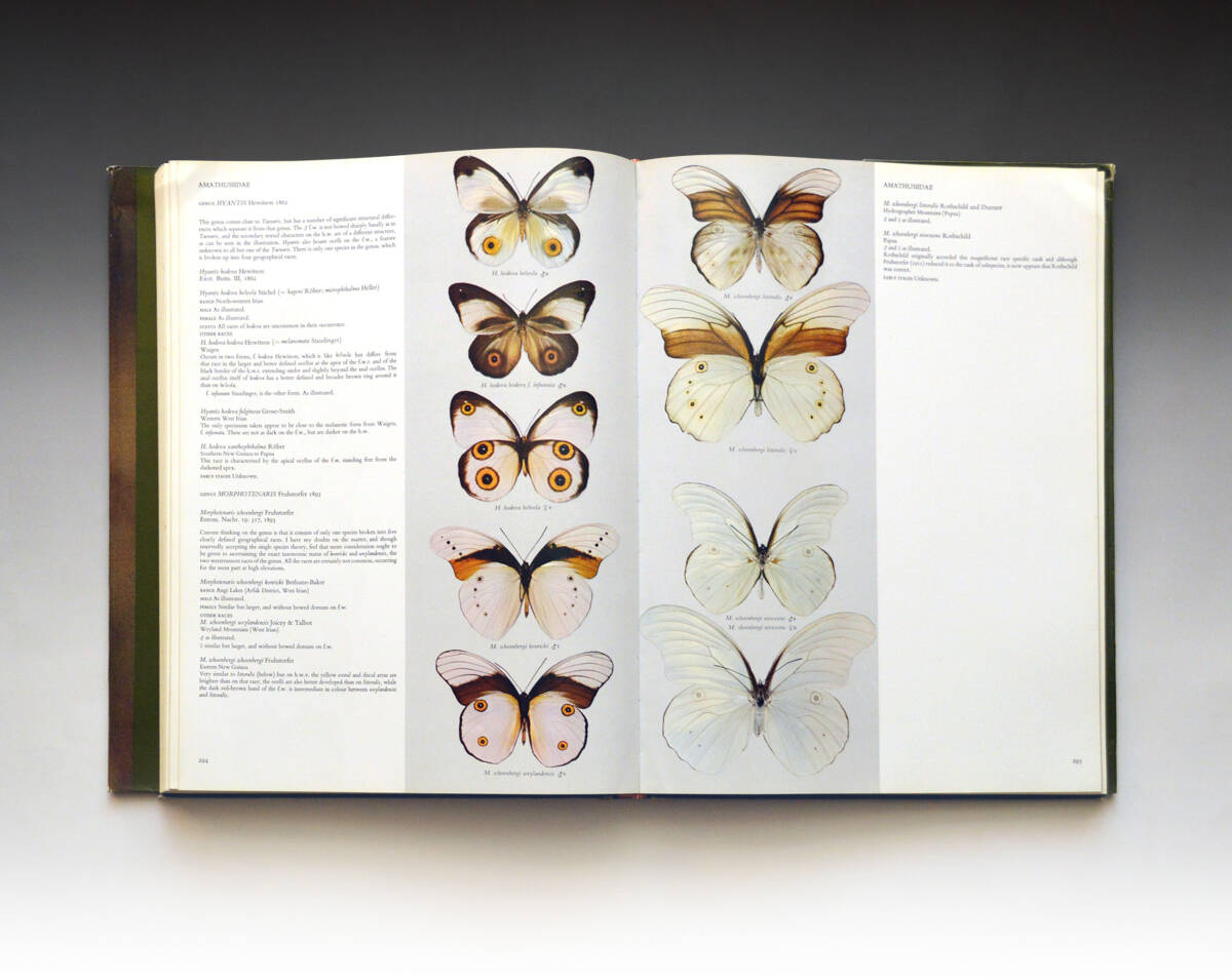 Butterflies of the Australian Region オーストラリア区の蝶類(初版)】ダブレラ図鑑 Bernard D'Abrera, 1971 - 生物学 Butterflies of the Australian Region オーストラリア区の蝶類(初版)】ダブレラ図鑑 Bernard D'Abrera, 1971 - 生物学