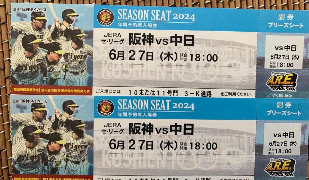 甲子園 中日戦 ６月２７日 ブリーズシート ２枚｜Yahoo!フリマ（旧PayPayフリマ）