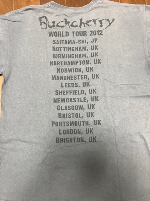 レア ロックTシャツ BUCKCHERRY バックチェリー 2012 WORLD TOUR グレー Lサイズ バンドTシャツ 古着 METALLICA GUNS'N ROSES_画像2