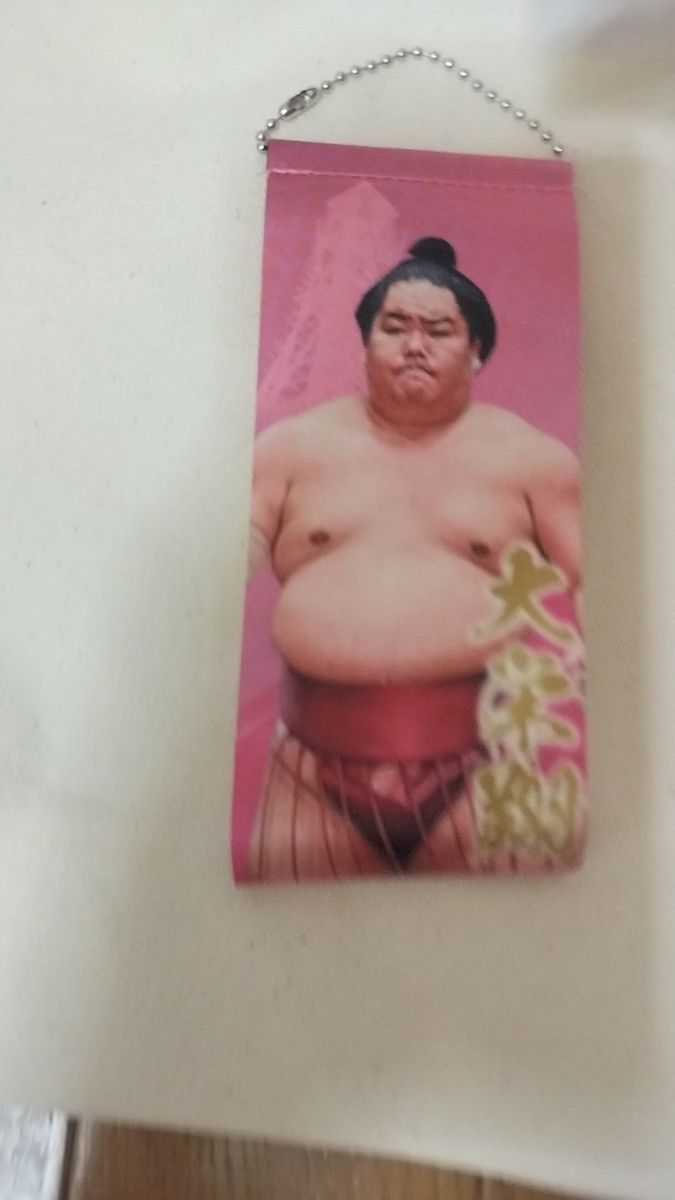 激安 新品未使用未開封大相撲 ガチャ大栄翔関 ミニタペストリー 追手風部屋 前頭