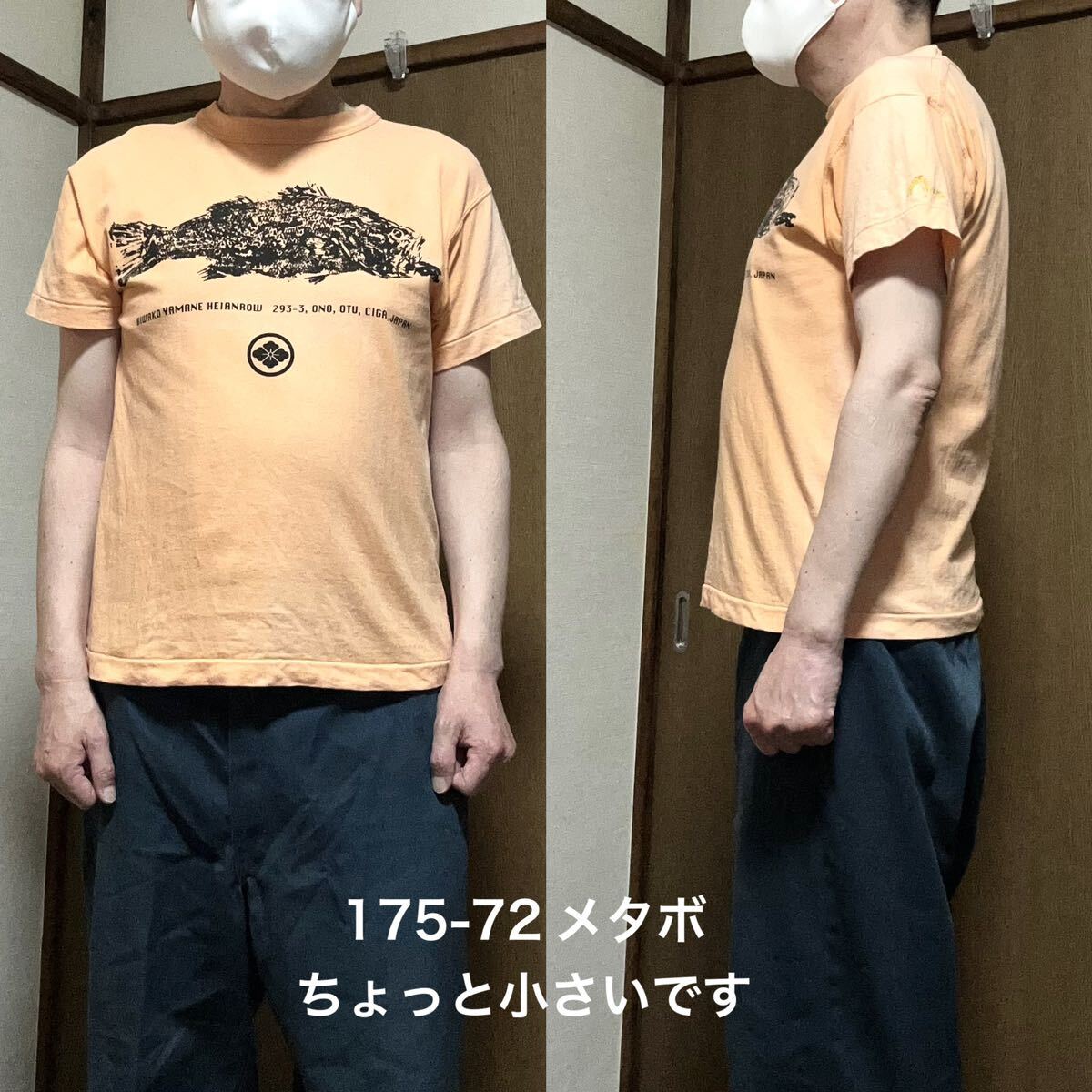 38サイズ EVISU エヴィス ヤマネギャランティード 古着半袖T 38サイズ EVISU エヴィス ヤマネギャランティード 古着半袖T