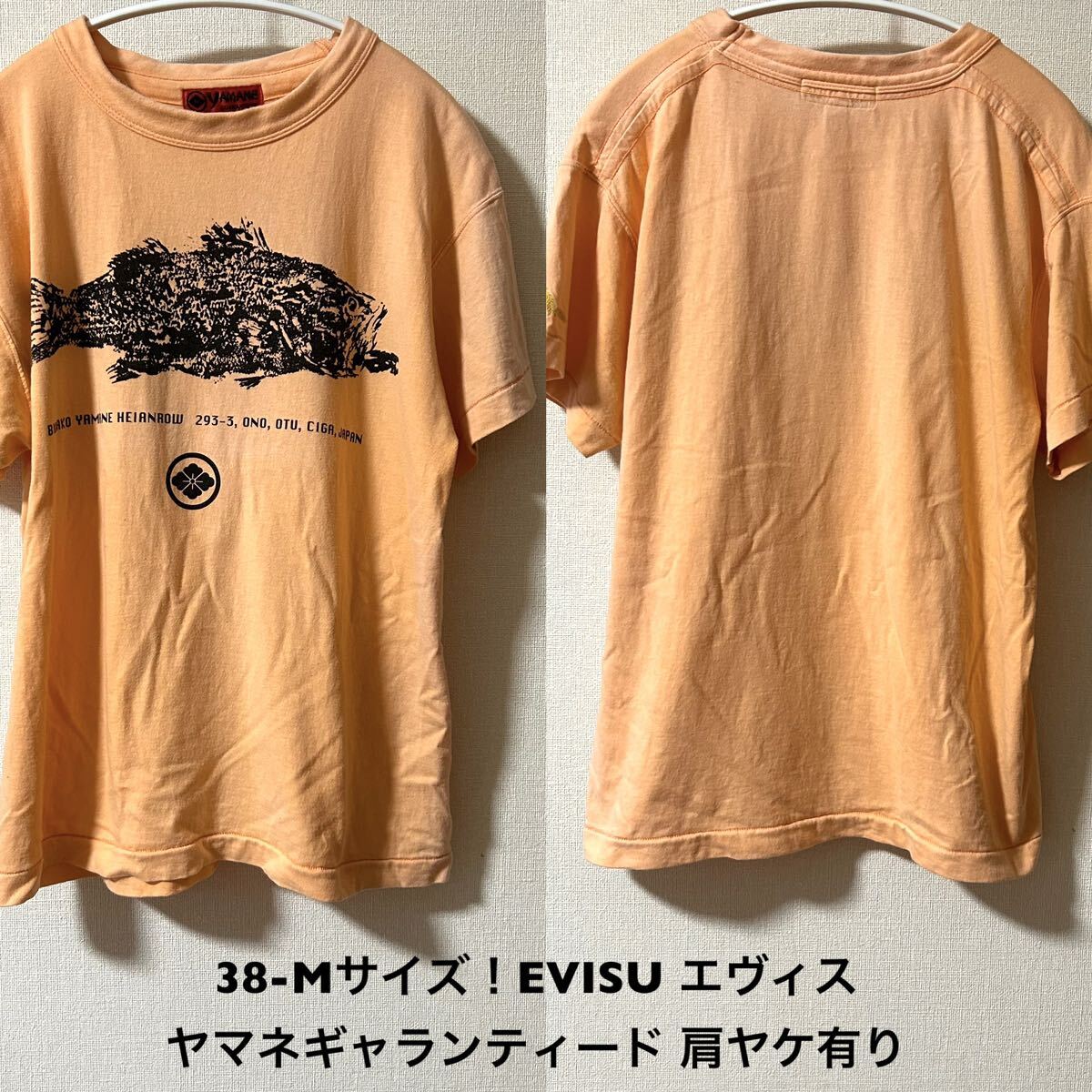 38サイズ EVISU エヴィス ヤマネギャランティード 古着半袖T 38サイズ EVISU エヴィス ヤマネギャランティード 古着半袖T