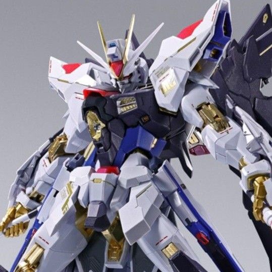 新品 METAL BUILD ストライクフリーダムガンダム FESTIVAL 2024 新品 METAL BUILD ストライクフリーダムガンダム FESTIVAL 2024