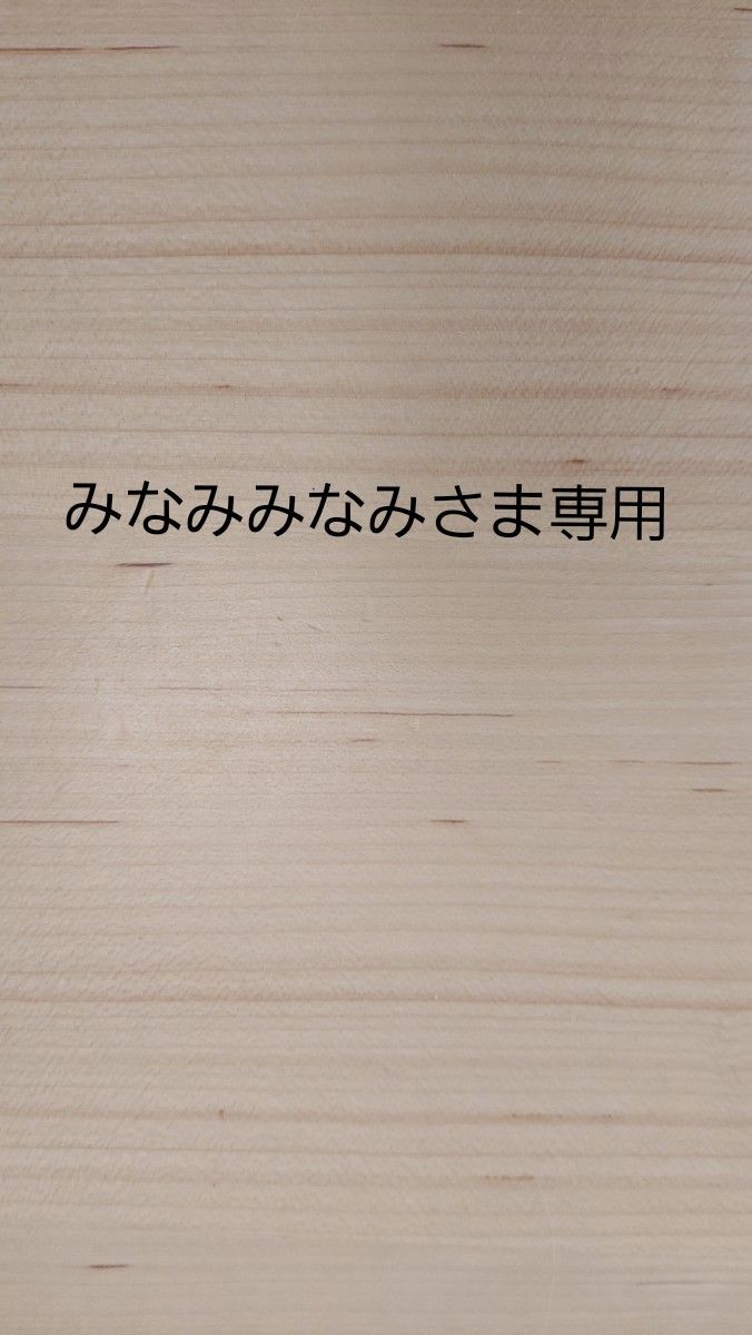 ★みなみみなみさま専用ページ★