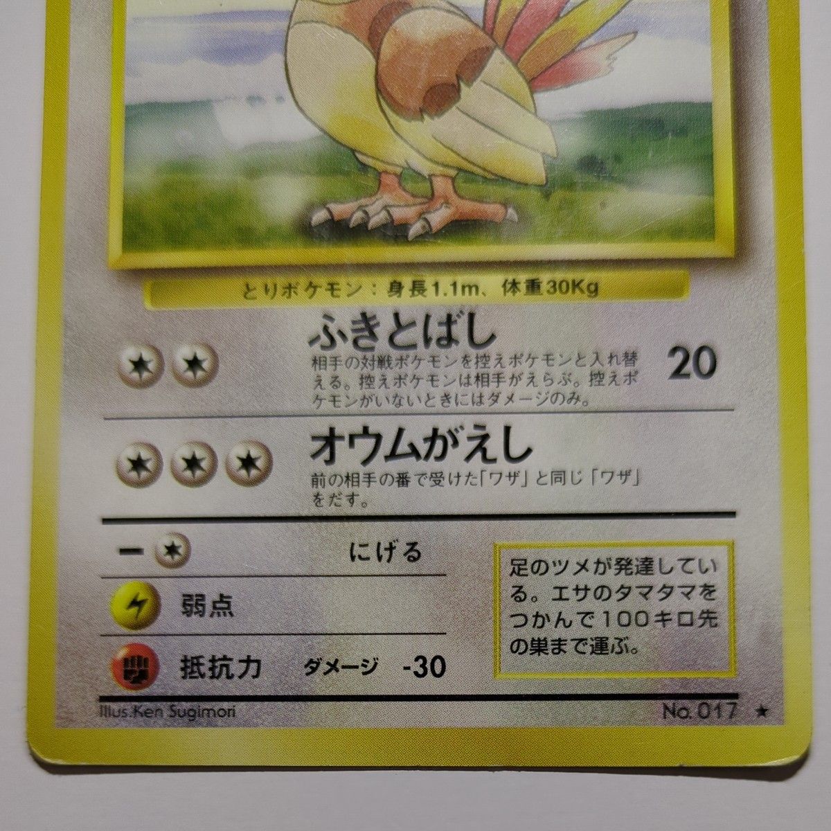 ピジョン ポケモンカード 旧裏|Yahoo!フリマ(旧PayPayフリマ) ピジョン ポケモンカード 旧裏|Yahoo!フリマ(旧PayPayフリマ)