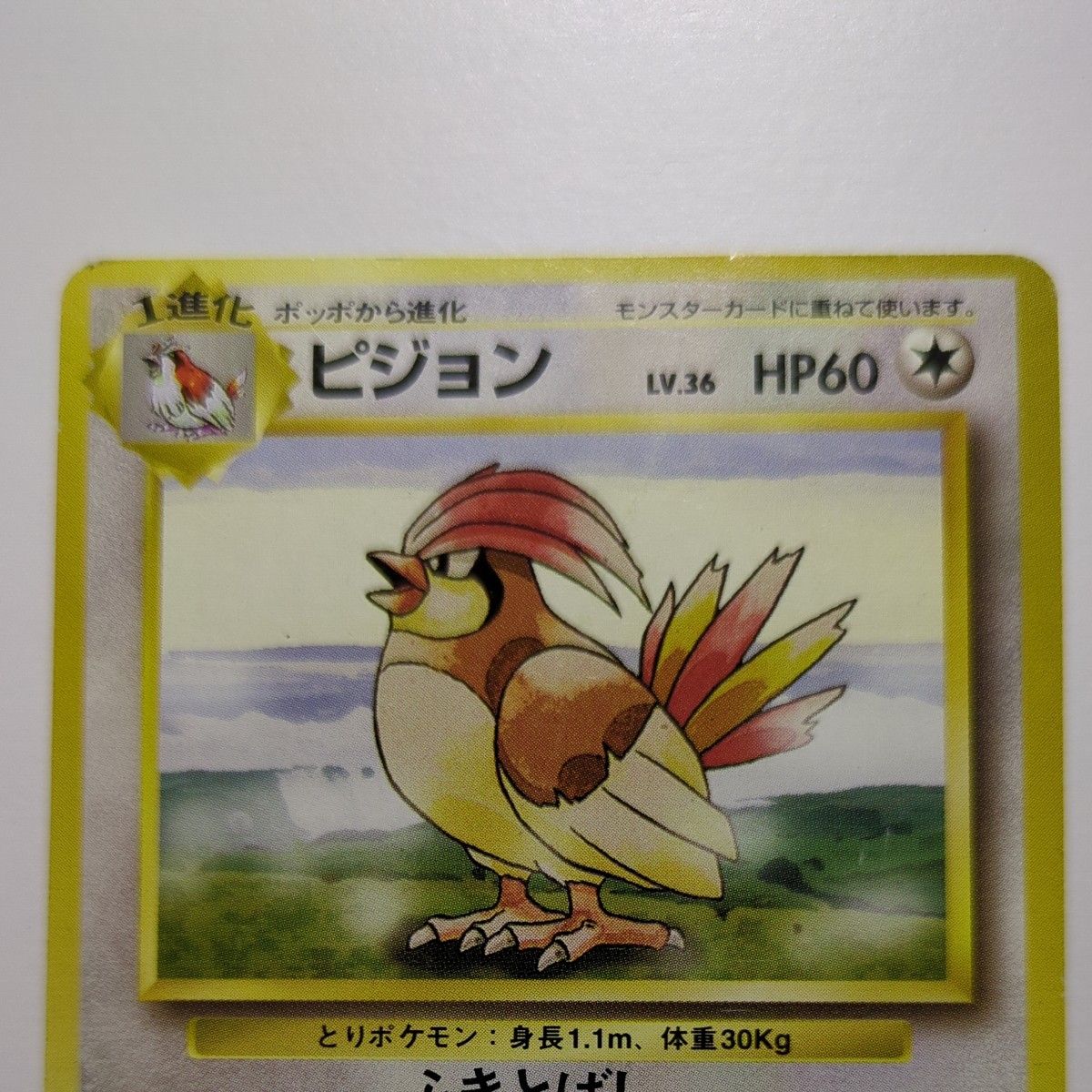 ピジョン ポケモンカード 旧裏|Yahoo!フリマ(旧PayPayフリマ) ピジョン ポケモンカード 旧裏|Yahoo!フリマ(旧PayPayフリマ)