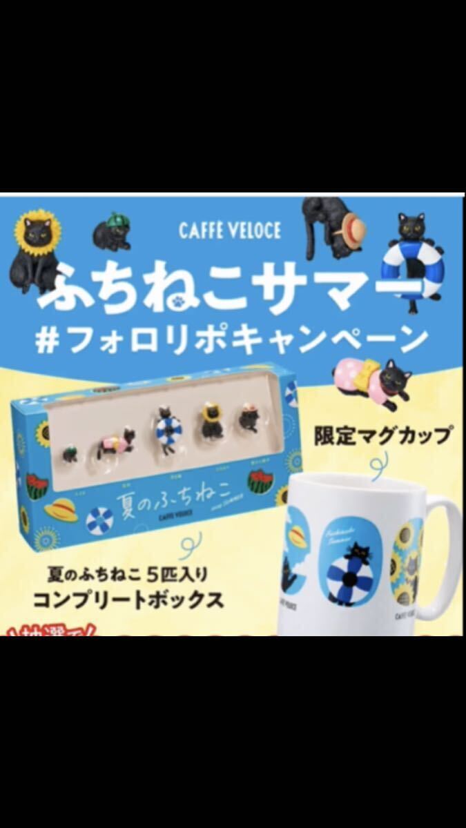 非売品 ベローチェ 夏のふちねこ 5匹入り 限定マグ ふちねこコンプリートBOX Yahoo!オークション - 『夏のふちねこ5匹入りコンプリート