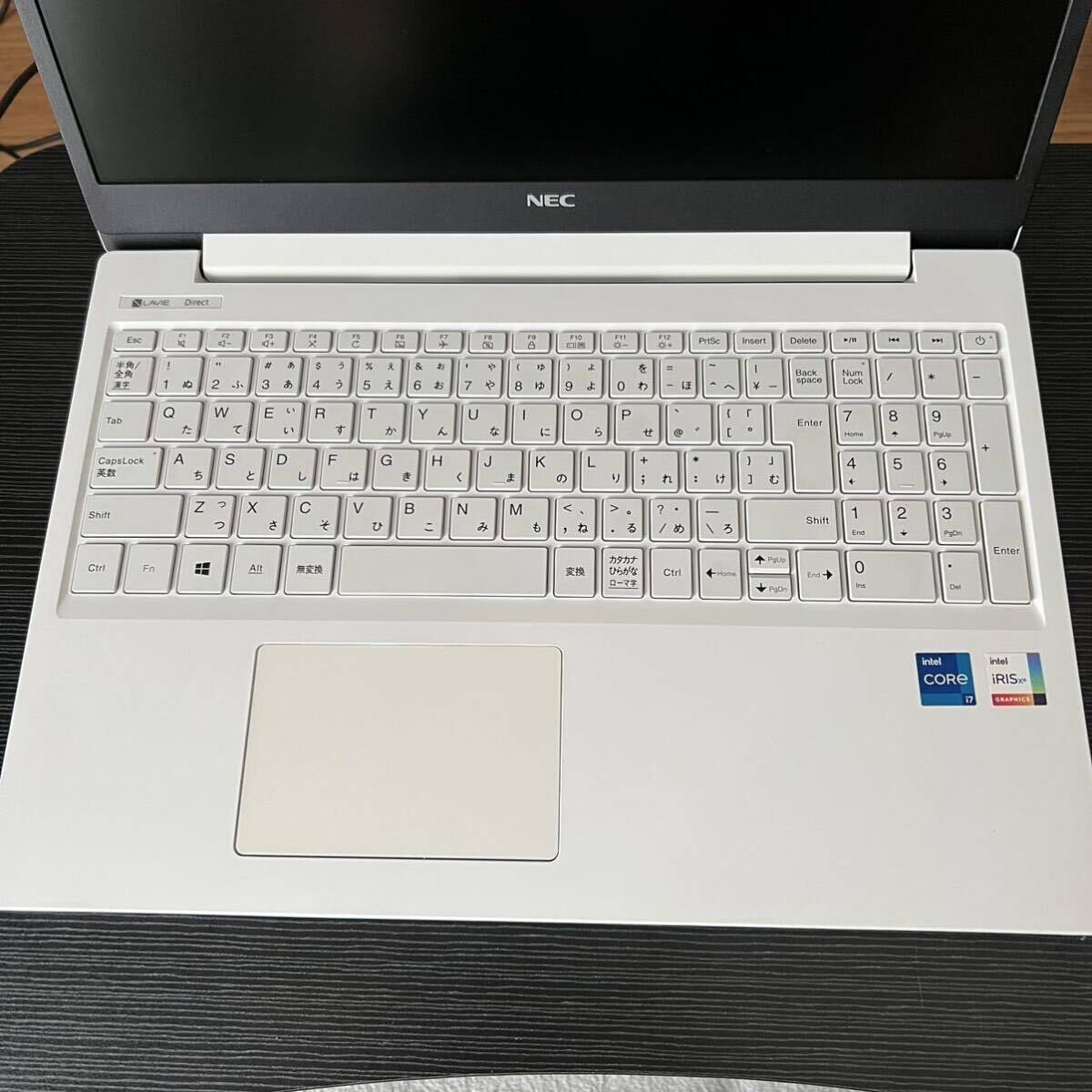 NEC LAVIE Direct PC-GN287JGAS Core i7 1165G7 液晶不良 ジャンク SSDなし NEC LAVIE Direct PC-GN287JGAS Core i7 1165G7 液晶不良 ジャンク SSDなし