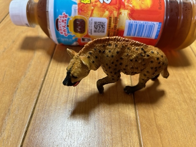 item_image_9