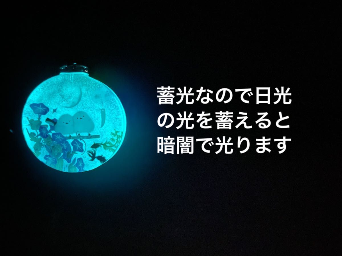 展示用/レジン/夏の夜のシマエナガ 朝顔 風鈴 蓄光 オルゴナイト 展示用/レジン/夏の夜のシマエナガ 朝顔 風鈴 蓄光 オルゴナイト