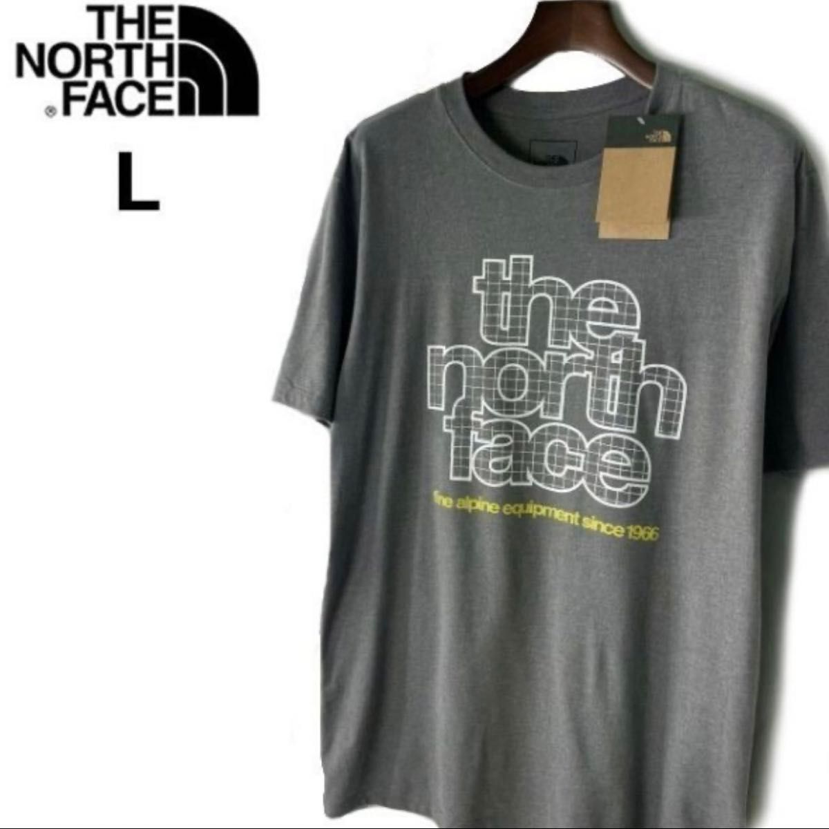 ★海外限定!おしゃれレア!THE NORTH FACE グラフィックTシャツ 新品タグ付き】レア ノースフェイス 海外限定 グラフィック半袖T