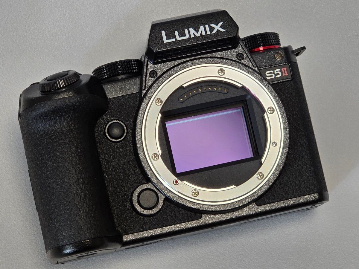 LUMIX S5II ボディ シャッター回数59回 (DC-S5M2 S5II S5Ⅱ LUMIX S5II ボディ シャッター回数59回 (DC-S5M2 S5II S5Ⅱ