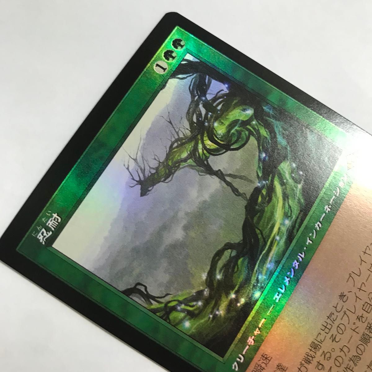 MTG FOIL/旧枠 忍耐/Endurance/日本語/モダンホライゾン3/MH3 MTG FOIL/旧枠 忍耐/Endurance/日本語/モダンホライゾン3/MH3