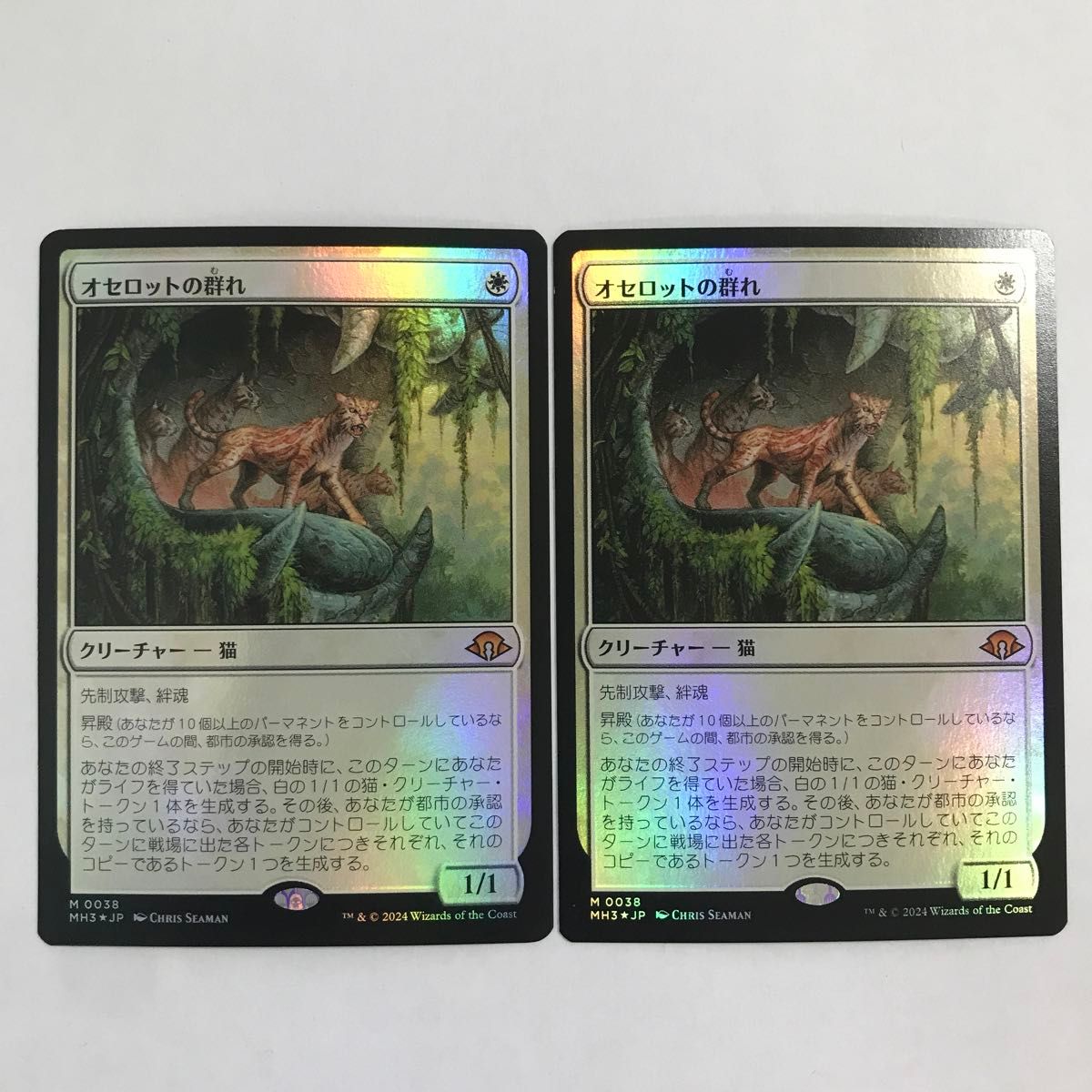オセロットの群れ foil 2枚|マジック:ザ・ギャザリング オセロットの群れ foil 2枚|マジック:ザ・ギャザリング