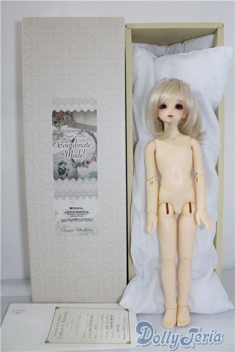 SDMGIRL/F-33コーディネートモデル U-24-06-04-214-KD-ZU SDMGIRL/F-33コーディネートモデル U-24-06-04-214-KD-ZU