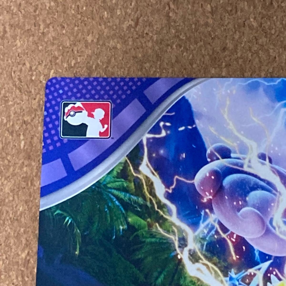海外ポケモンカード タケルライコ プレイマット チャンピオン 海外ポケモンカード タケルライコ プレイマット チャンピオン