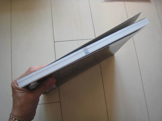A153 即決 送料無料/未使用希少洋書 Big History BETWEEN A153 即決 送料無料/未使用希少洋書 Big History BETWEEN