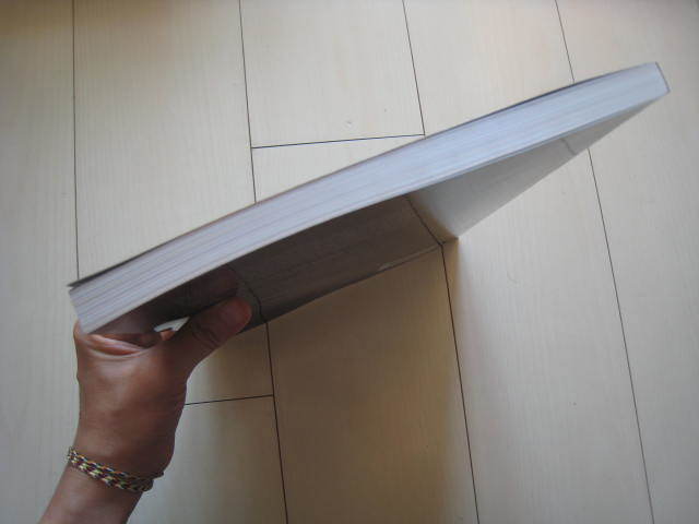 A153 即決 送料無料/未使用希少洋書 Big History BETWEEN A153 即決 送料無料/未使用希少洋書 Big History BETWEEN