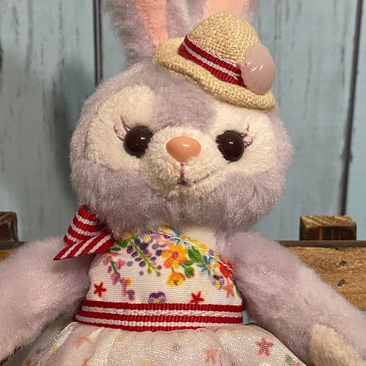 ステラ・ルー ぬいぐるみバッジ ダッフィーのサニーファン 2019 ステラ・ルー ぬいぐるみバッジ ダッフィーのサニーファン 2019