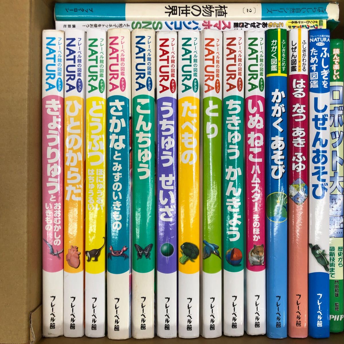 専門ショップ 大SET-ш377/ 図鑑セット 不揃い26冊まとめ フレーベル館の図鑑 図鑑
