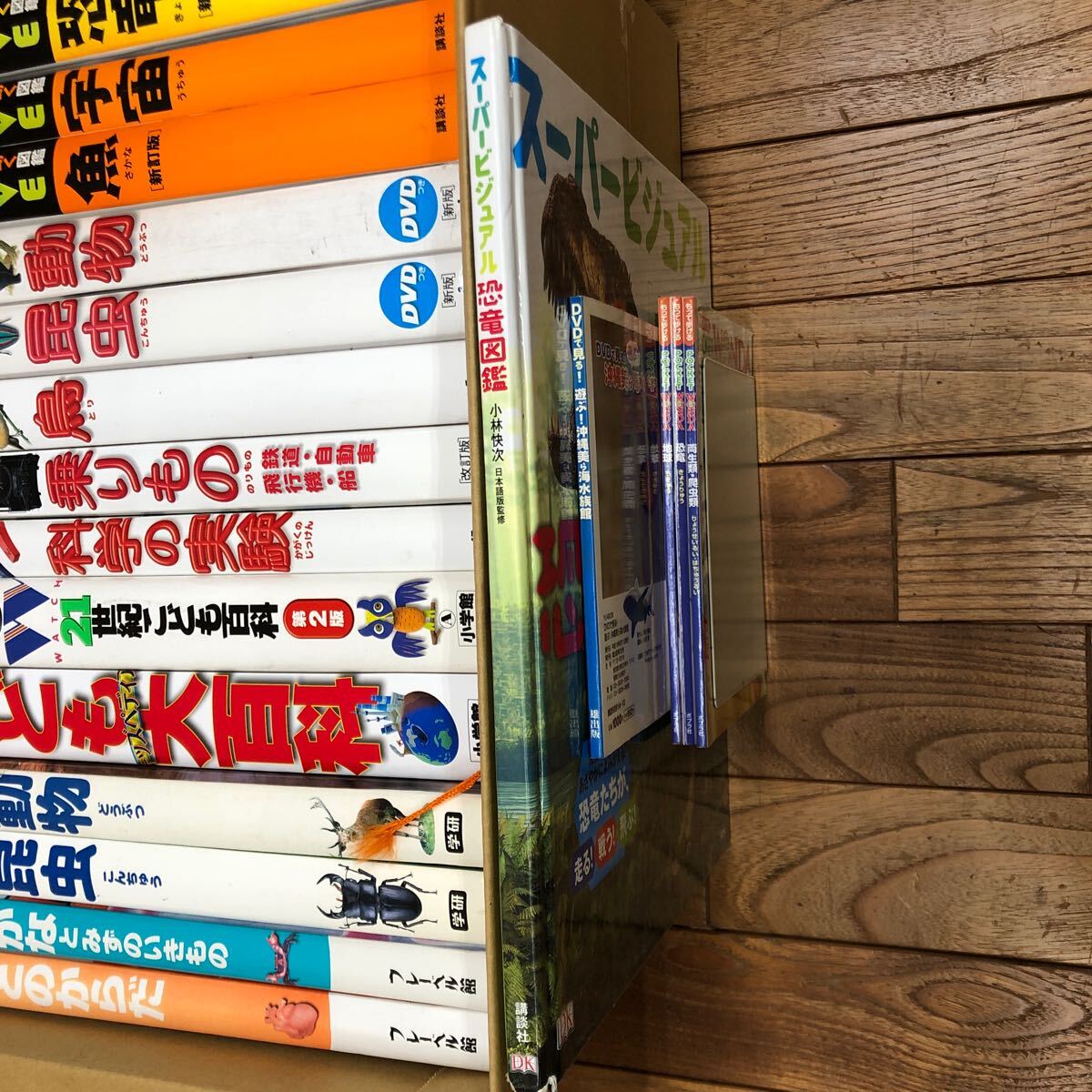 送料無料の商品 大SET-ш380/ 小学館の図鑑NEO 不揃い21冊まとめ 図鑑セット 図鑑