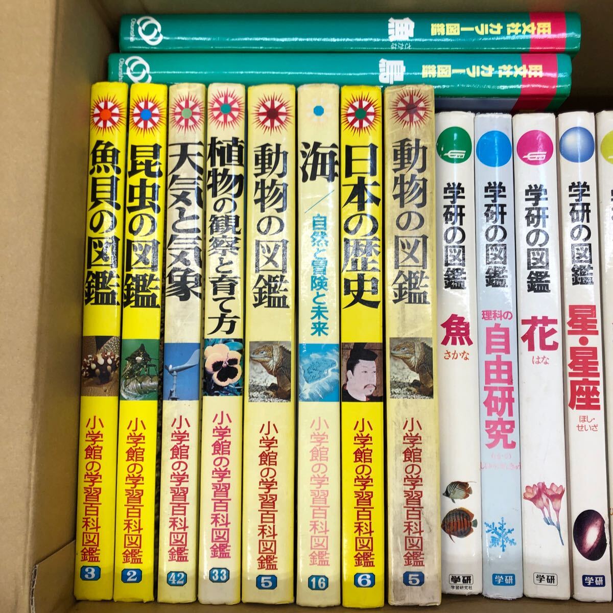 人気激安 大SET-ш386/ 図鑑セット 小学館の学習百科図鑑 不揃い27冊まとめ 図鑑