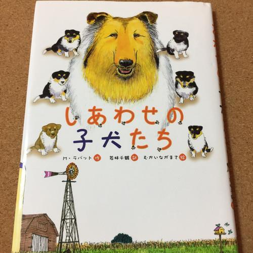 【しあわせの子犬たち】若林千鶴★送料無料_画像1