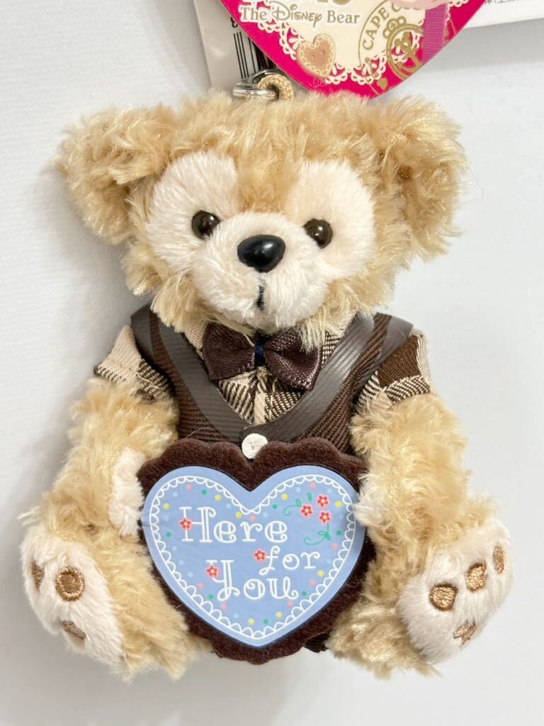 新品 未使用　ディズニー　TDS 10周年　スウィートダッフィー　スイート バレンタイン　ぬいぐるみチャーム　ダッフィー　絵本 タグ付