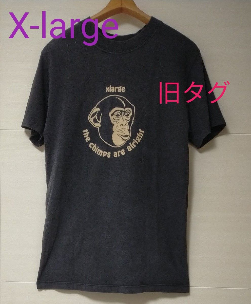 X-LARGE ブランドロゴ Tシャツ丸胴ボディエクストララージ X-LARGE ブランドロゴ Tシャツ丸胴ボディエクストララージ