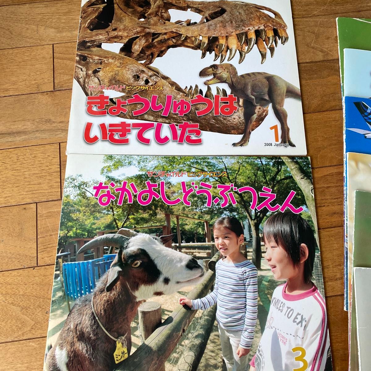 サンチャイルド ビッグサイエンス 11冊|Yahoo!フリマ(旧PayPay サンチャイルド ビッグサイエンス 11冊|Yahoo!フリマ(旧PayPay
