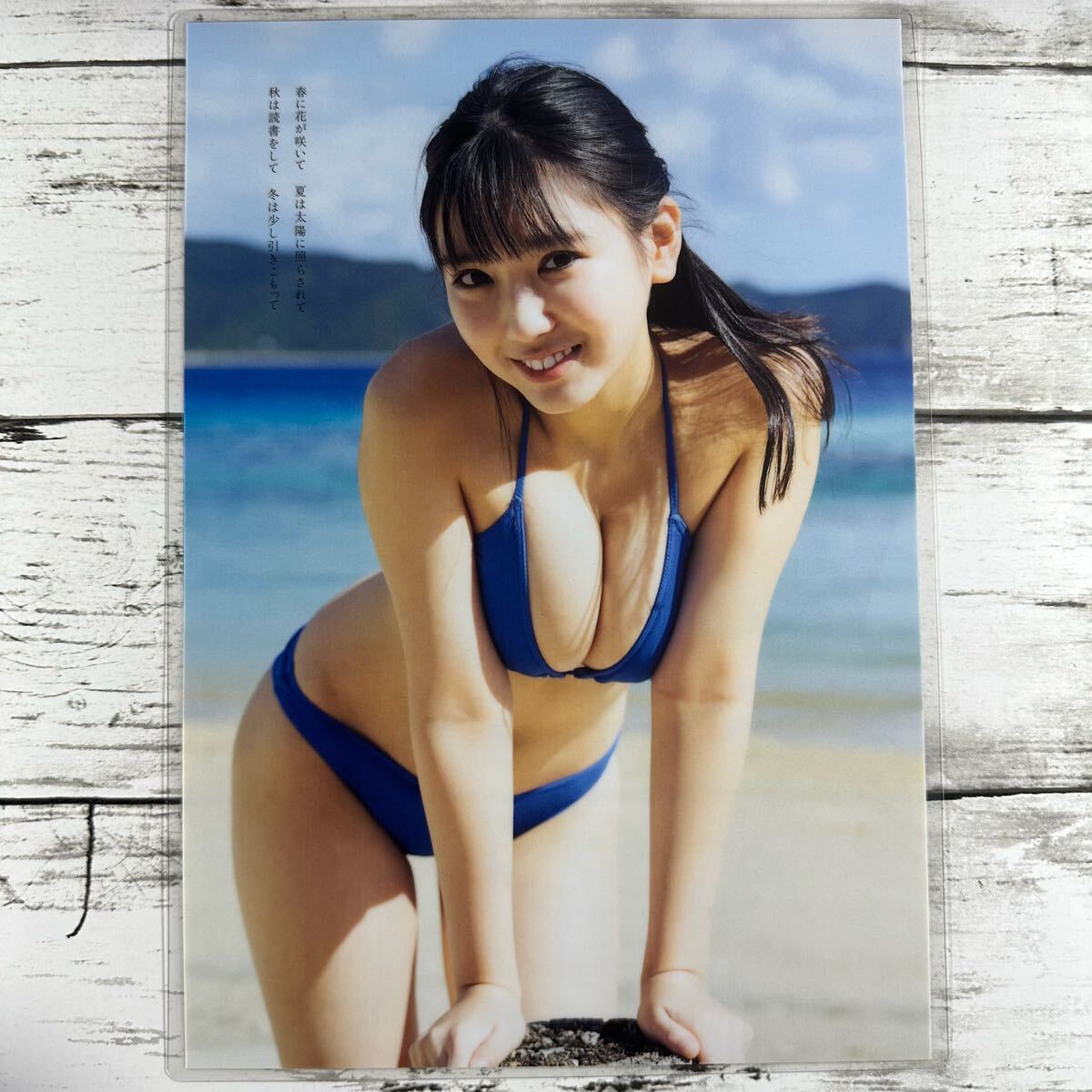 [ high quality laminate processing ][.. love .] Play Boy 2022 year 7 number magazine scraps 6P B5 film swimsuit bikini model performer woman super 