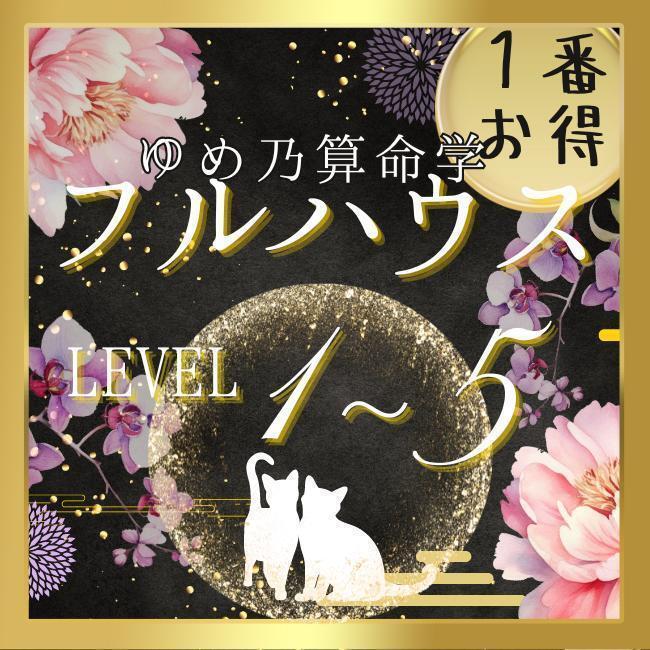 【¥9,700引】ゆめ乃算命学「フルハウス」 レベル1~5 独学 テキスト 本