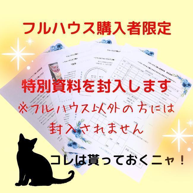 9,700引】ゆめ乃算命学「フルハウス」 レベル1~5 独学 9,700引】ゆめ乃算命学「フルハウス」 レベル1~5 独学