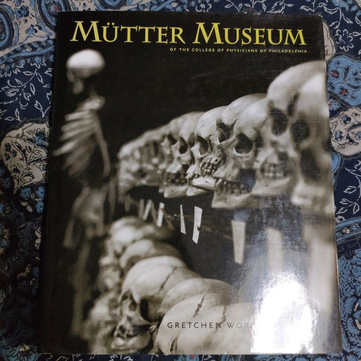 MUTTER MUSEUM ムッター Muetter 医療 病理 解剖 奇形 Computers MUTTER MUSEUM ムッター Muetter 医療 病理 解剖 奇形 Computers