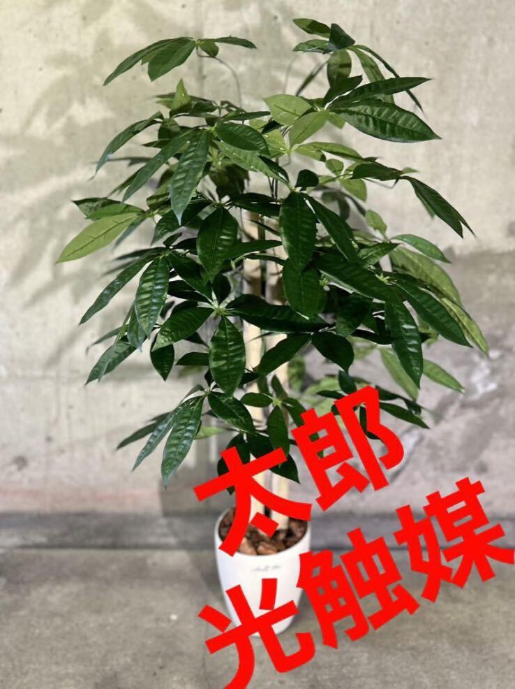 光触媒　人工観葉植物　ウォールグリーン　フェイクグリーン　パキラ11070