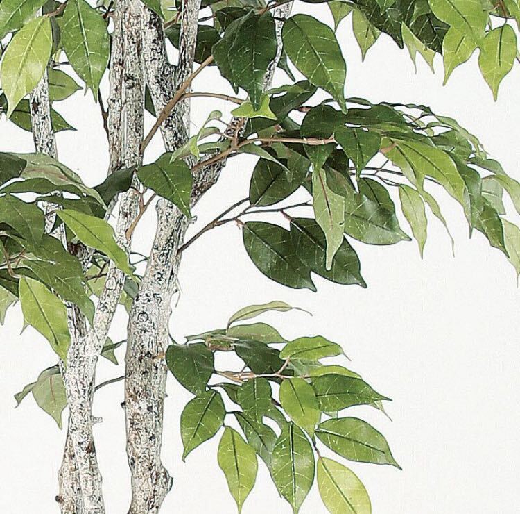 光触媒 人工観葉植物 ウォールグリーン フェイクグリーン 光触媒 人工観葉植物 ウォールグリーン フェイクグリーン