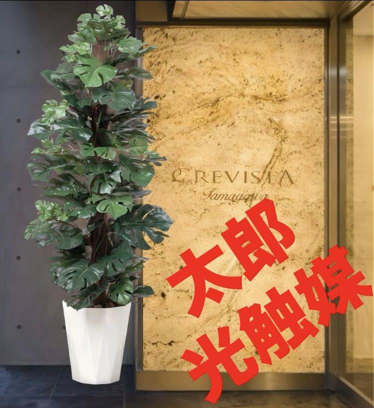光触媒 人工観葉植物 ウォールグリーン フェイクグリーン 光触媒 人工観葉植物 ウォールグリーン フェイクグリーン