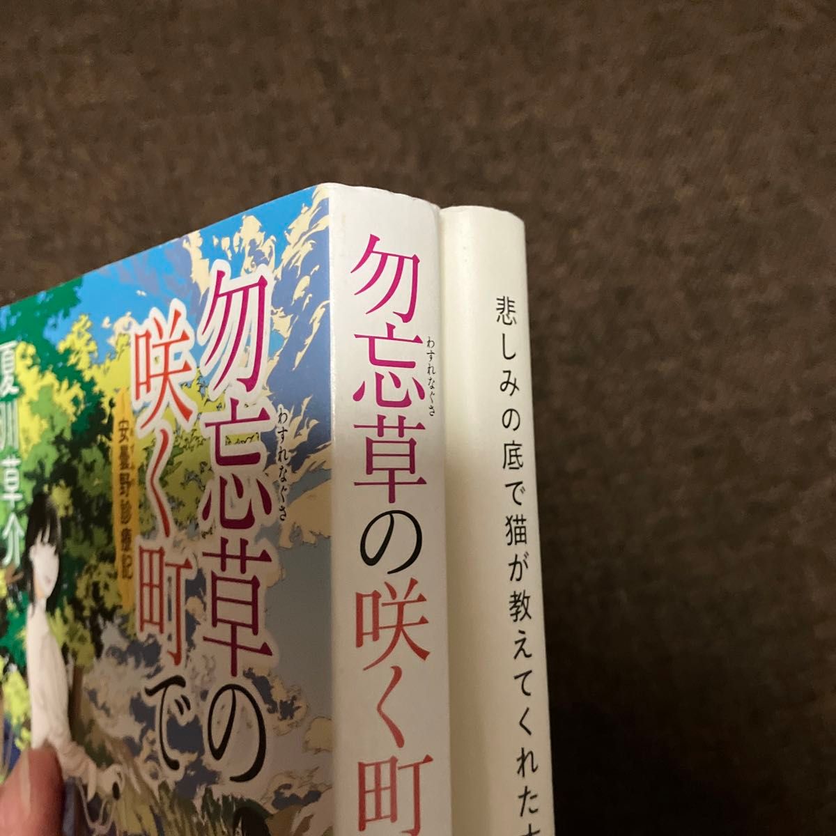 ☆ひまわり様専用ページ(2冊セット)☆勿忘草の咲く町で　安曇野診療記 夏川草介／著