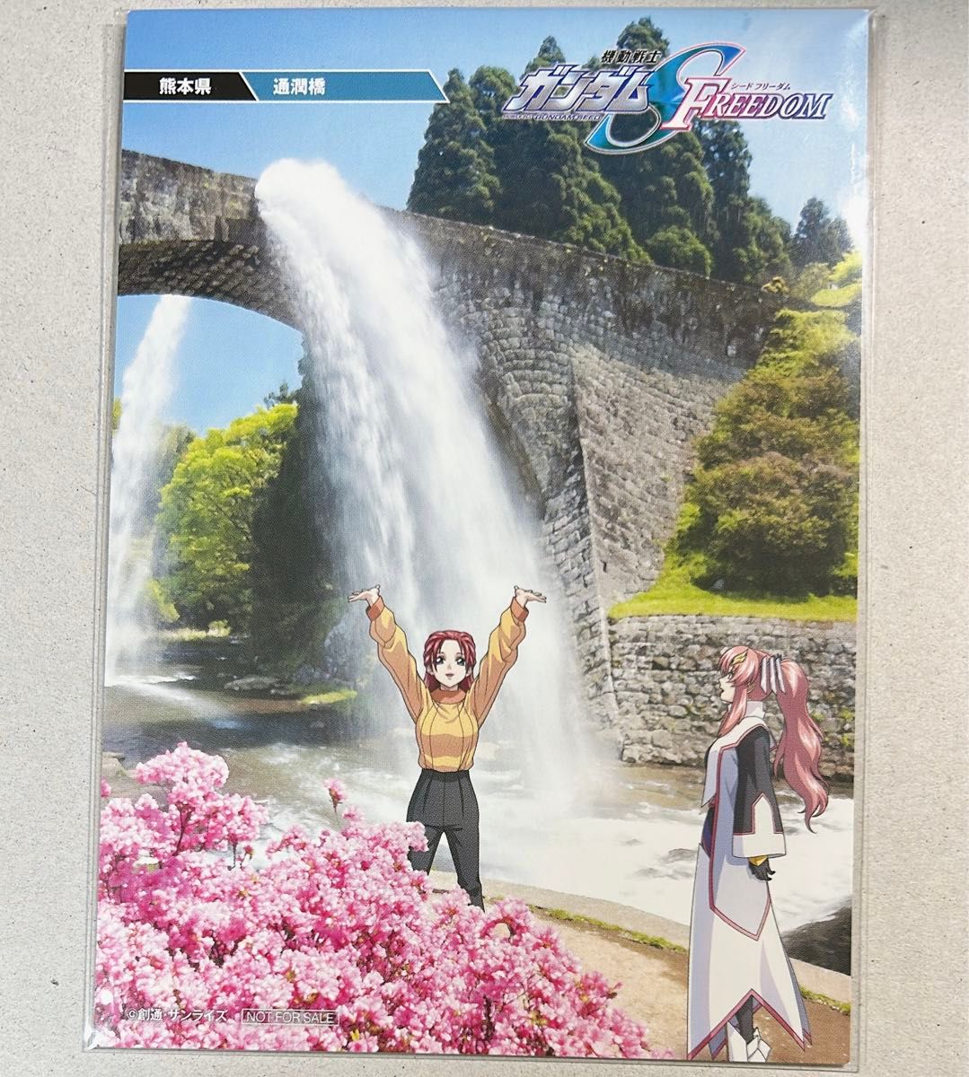ガンダムSEED FREEDOM 映画 特典 47都道府県 ご当地 ビジュアル ガンダムSEED FREEDOM 映画 特典 47都道府県 ご当地 ビジュアル