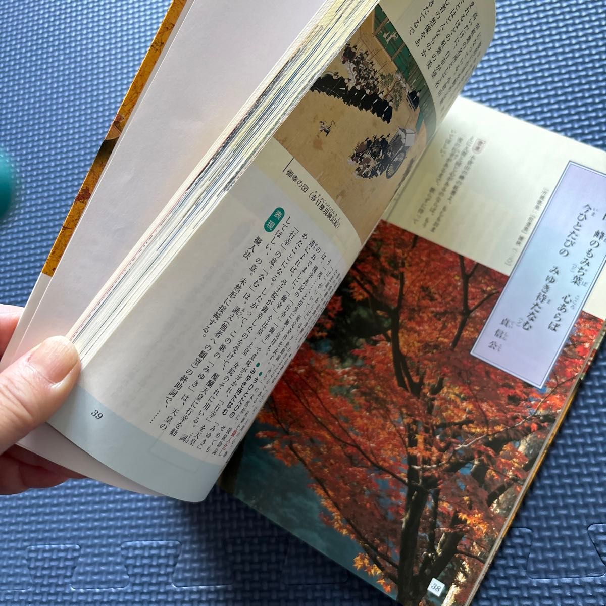 原色小倉百人一首 (シグマベスト) 鈴木日出男/共著 山口慎一 原色小倉百人一首 (シグマベスト) 鈴木日出男/共著 山口慎一